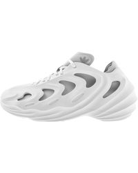 adidas Originals Adifom Q Shoes - White