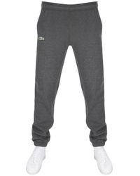 lacoste grey jogging bottoms