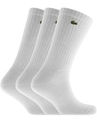 lacoste socks price