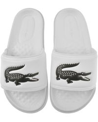 lacoste slippers 2020