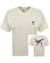 adidas Originals - Whale Graphic T Shirt Off - Lyst