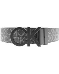 ck belt mens