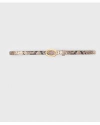 Maje - Slim Python-Effect Leather Belt - Lyst