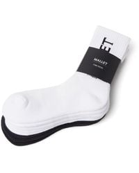 Mallet London - Mallet Socks Large Logo 5 Pack Multi - Lyst