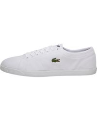 lacoste riberac leather