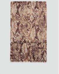 Mango - Printed Scarf With Frayed Finishes - Lyst