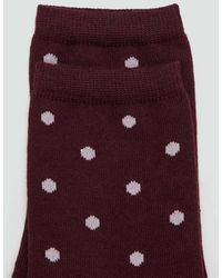 Mango - Polka Dot Socks - Lyst