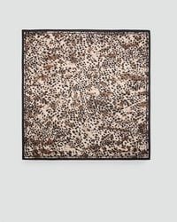 Mango - Leopard Printed Scarf - Lyst