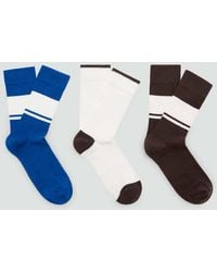 Mango - 3 Pack Mixed Socks - Lyst