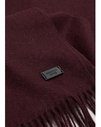 Mango - Plain Fringed Scarf - Lyst