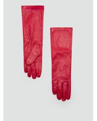 Mango - Long Tanned Leather Gloves - Lyst
