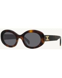Celine - Cl40194U 5253A Acetate Sunglasses - Lyst