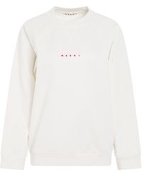 Marni - Small Logo Sweatshirt, Long Sleeves, , 100% Cotton - Lyst