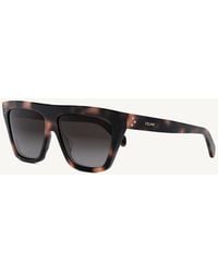 Celine - Cl40256I 5855K Acetate Sunglasses - Lyst