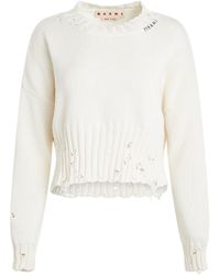 Marni - Distressed Cropped Sweater, Long Sleeves, , 100% Cotton - Lyst