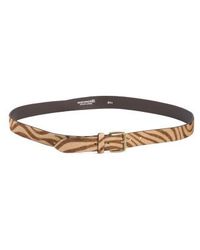Marshalls - Leather Zebra Printed Belt - Lyst