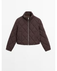 MASSIMO DUTTI - Korte Waterafstotende Gewatteerd Jack - Lyst