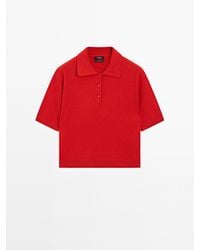 MASSIMO DUTTI - 100% Kasjmier Tricot Trui Met Korte Mouw - Lyst