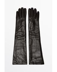 MASSIMO DUTTI - Long Nappa Leather Gloves - Lyst