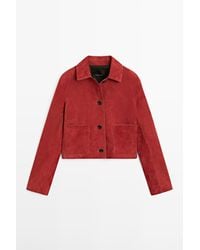 MASSIMO DUTTI - Kort Suède Leren Jack - Lyst