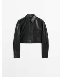 MASSIMO DUTTI - Nappa Leather Cropped Shirt - Lyst