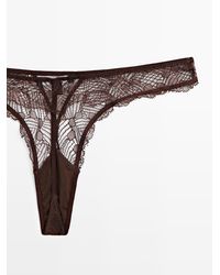 MASSIMO DUTTI - Lace Thong With Mesh Detail - Lyst