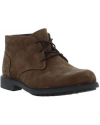 stormbuck chukka