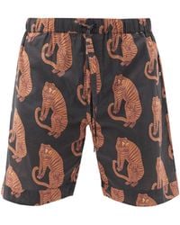 Desmond & Dempsey Tiger Printed Pyjama Shorts - Orange