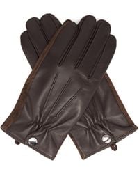 Dents Esher Wool-lined Leather Touchscreen Gloves - Brown