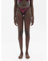 Agent Provocateur - Carline Embroidered-lace Thong - Lyst