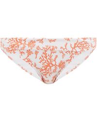 Heidi Klein Belize Coral-print Bikini Briefs - Multicolour