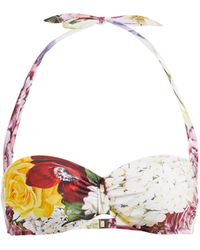 Dolce & Gabbana Ortensie Floral-print Balconette Bikini Top - Multicolour