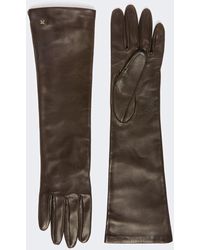 Max Mara - Lange Handschuhe Aus Nappaleder - Lyst