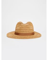 Max Mara - Cotton Faille Bucket Hat - Lyst