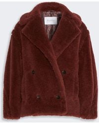 Max Mara - Alpaca And Wool Teddy Fabric Cropped Biker Jacket - Lyst