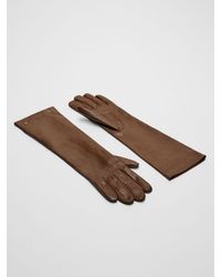 Max Mara - Long Nappa Leather Gloves - Lyst