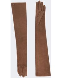 Max Mara - Extra-Long Suede Gloves - Lyst
