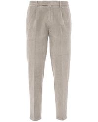 Herren Bekleidung Hosen und Chinos Freizeithosen und Hosen Briglia 1949 Baumwolle Hose in Grau für Herren 