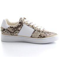 steve madden zela trainers