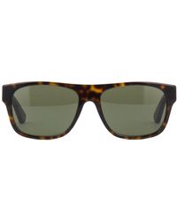 Gucci ACETATO MARRONE