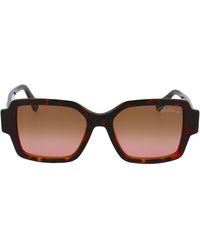Damen-Sonnenbrillen von Roberto Cavalli | Online-Schlussverkauf – Bis zu  69% Rabatt | Lyst AT