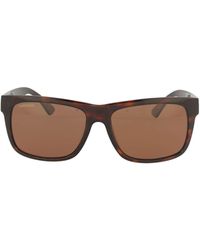 Serengeti Metal Sunglasses - Brown