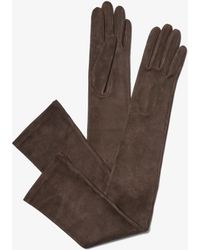 Michael Kors - Suede Opera Gloves - Lyst