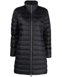 Polo Ralph Lauren - Jassen ,Zwart ,Leer Geïsoleerde Zwarte Puffer Donsjas - Lyst