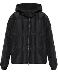 EA7 - Light Jackets - Lyst