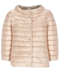 Herno - Jassen ,Roze ,Roze Gewatteerde Boothalsjas - Lyst