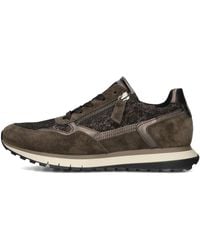 Gabor - Schoenen ,Bruin ,Suède Bruine Suède Lage Sneakers - Lyst