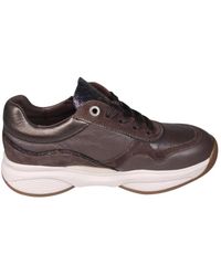 Xsensible - Swx11 Stretchwalker Sneaker - Lyst