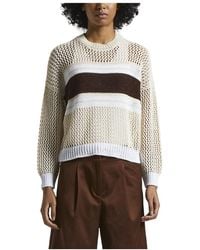Peserico - Pullover Aus Reiner Baumwolle Mit Cordonetto-Stickerei Und Pailletten - Lyst