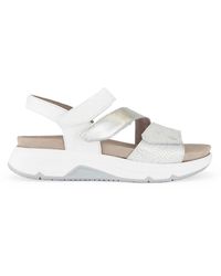 Gabor - Sandalen - Lyst